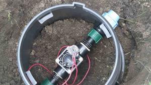 Когда лучше делать полив?